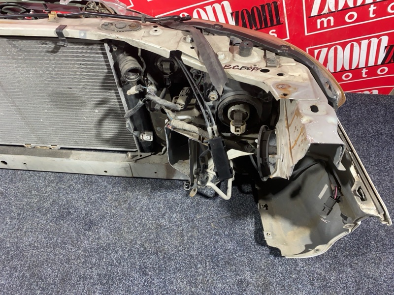 Nose cut, 33000 рублей, Солонцы