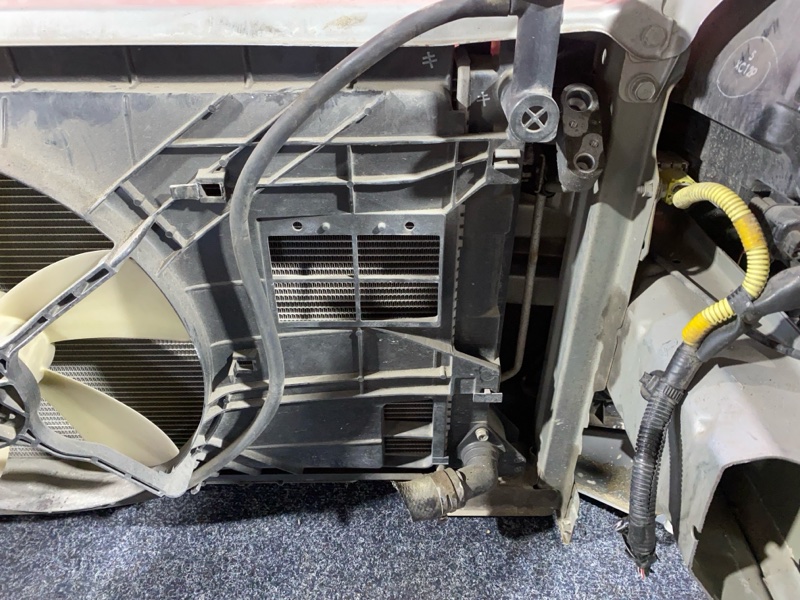 Nose cut, 28500 рублей, Солонцы