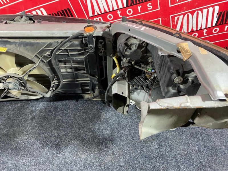 Nose cut, 28500 рублей, Солонцы