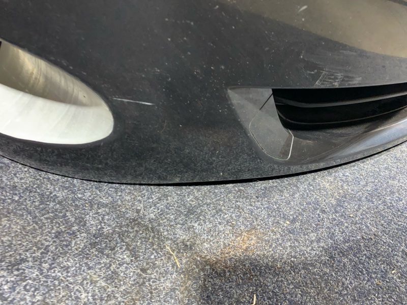 Nose cut, 34000 рублей, Солонцы