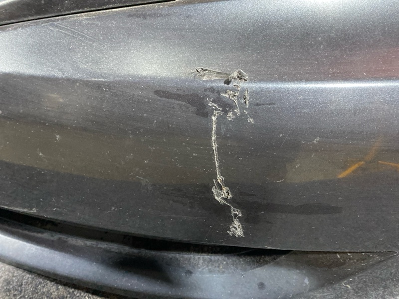 Nose cut, 34000 рублей, Солонцы