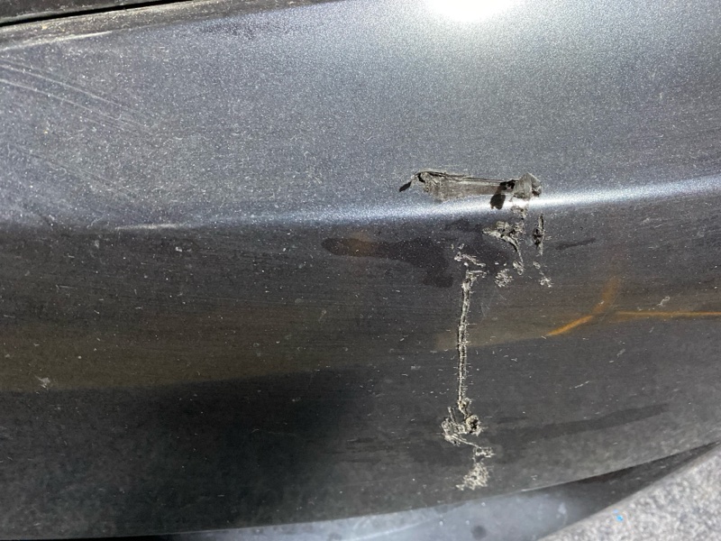 Nose cut, 34000 рублей, Солонцы