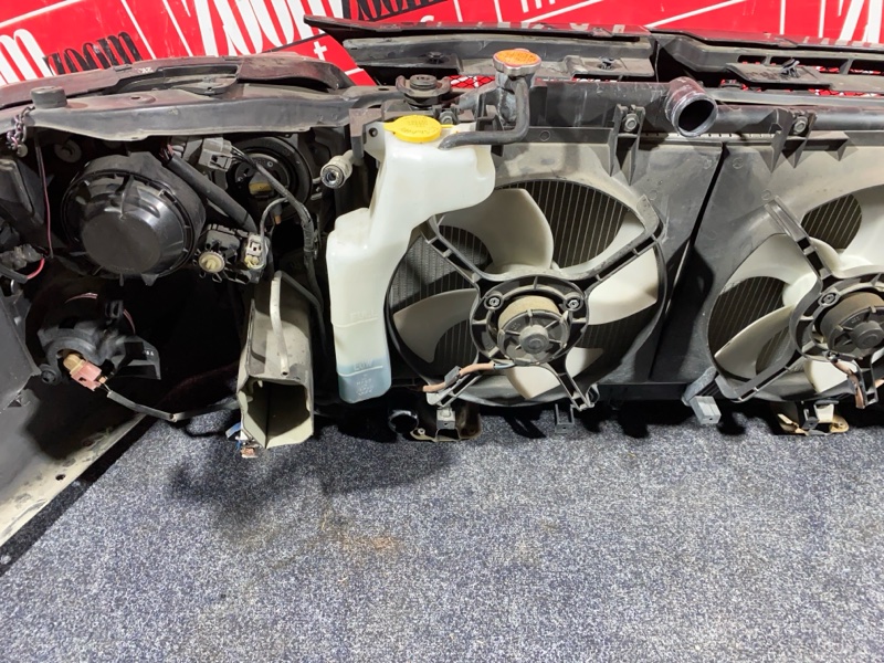 Nose cut, 34000 рублей, Солонцы