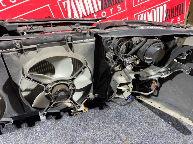 Nose cut, 34000 рублей, Солонцы