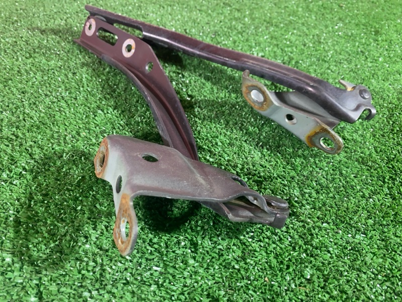 Петля (Шарнир капота), 500 рублей, Солонцы