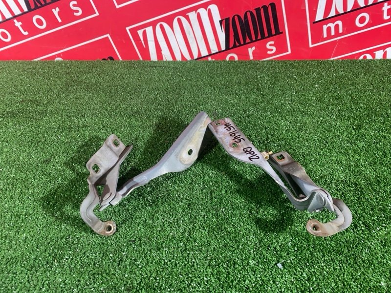 Петля (Шарнир капота), 500 рублей, Солонцы