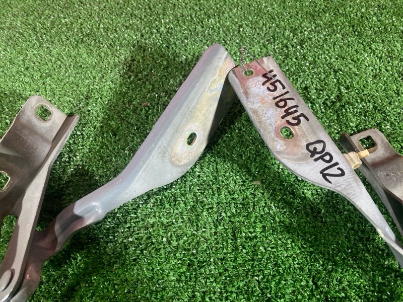 Петля (Шарнир капота), 500 рублей, Солонцы