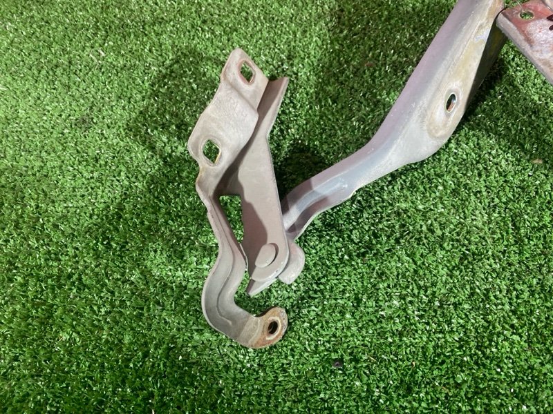 Петля (Шарнир капота), 500 рублей, Солонцы