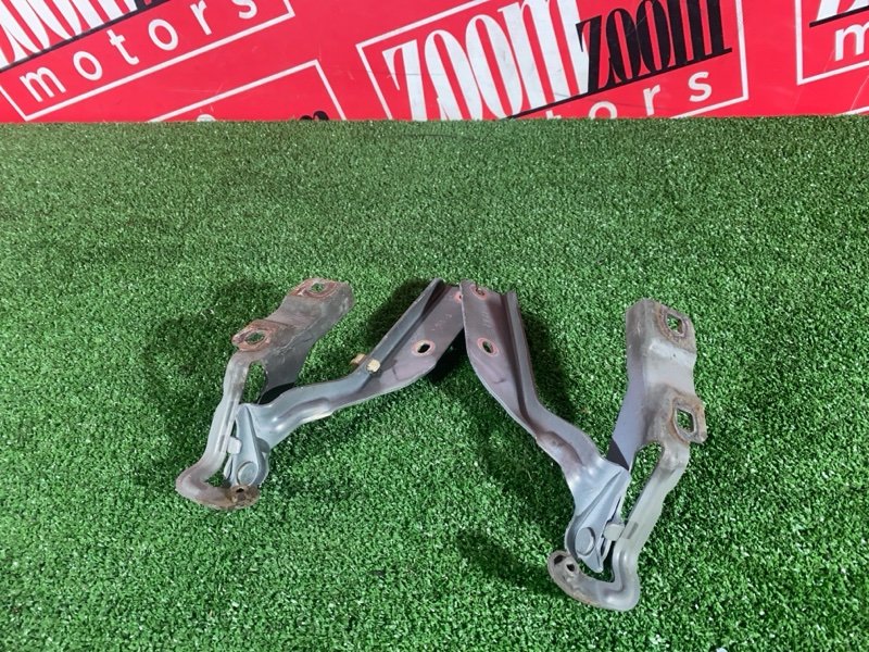 Петля (Шарнир капота), 500 рублей, Солонцы