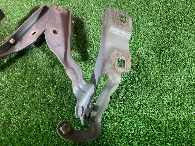 Петля (Шарнир капота), 500 рублей, Солонцы