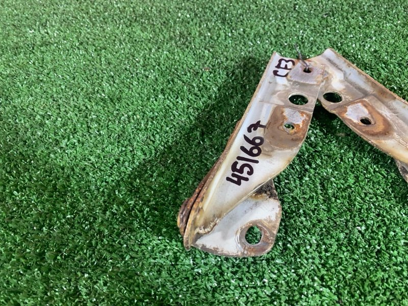 Петля (Шарнир капота), 400 рублей, Солонцы