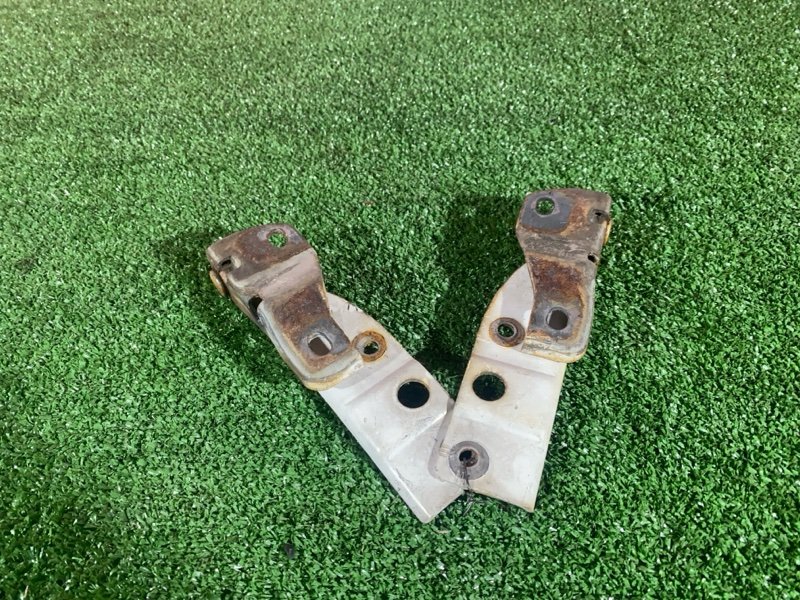 Петля (Шарнир капота), 400 рублей, Солонцы