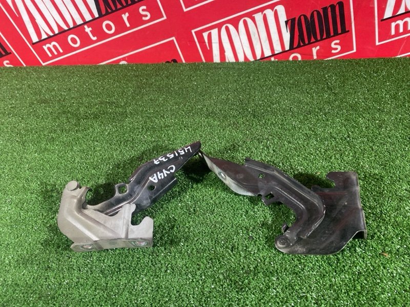 Петля (Шарнир капота), 1000 рублей, Солонцы