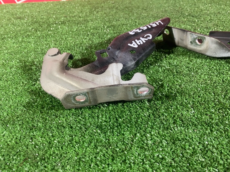 Петля (Шарнир капота), 1000 рублей, Солонцы