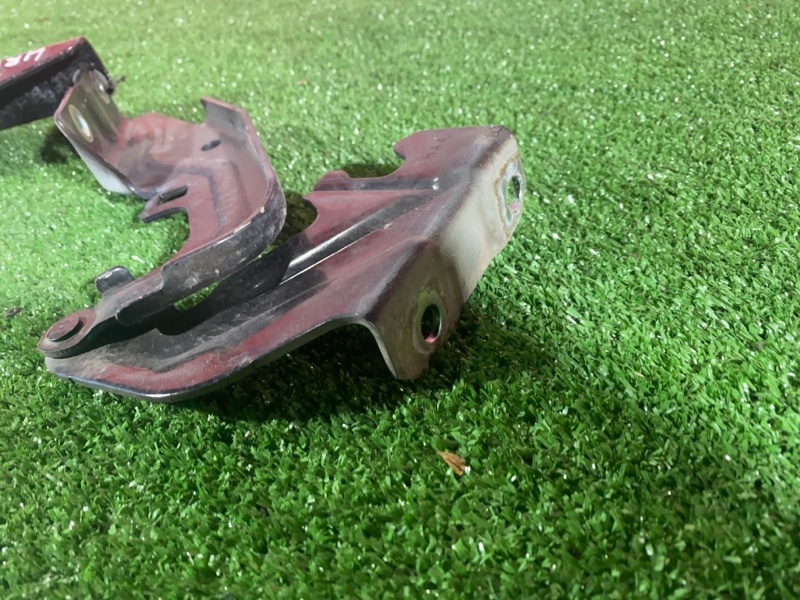 Петля (Шарнир капота), 1000 рублей, Солонцы