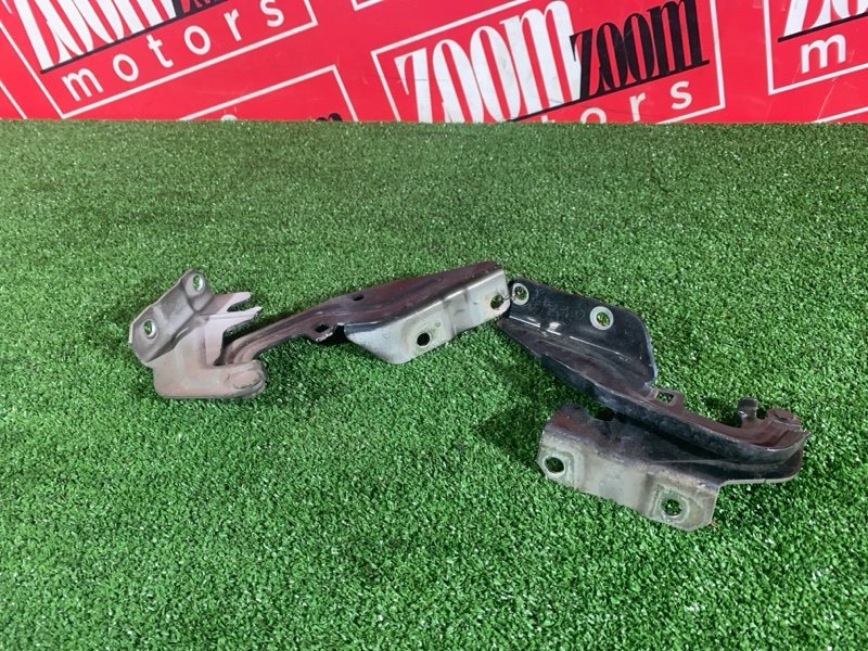 Петля (Шарнир капота), 1000 рублей, Солонцы