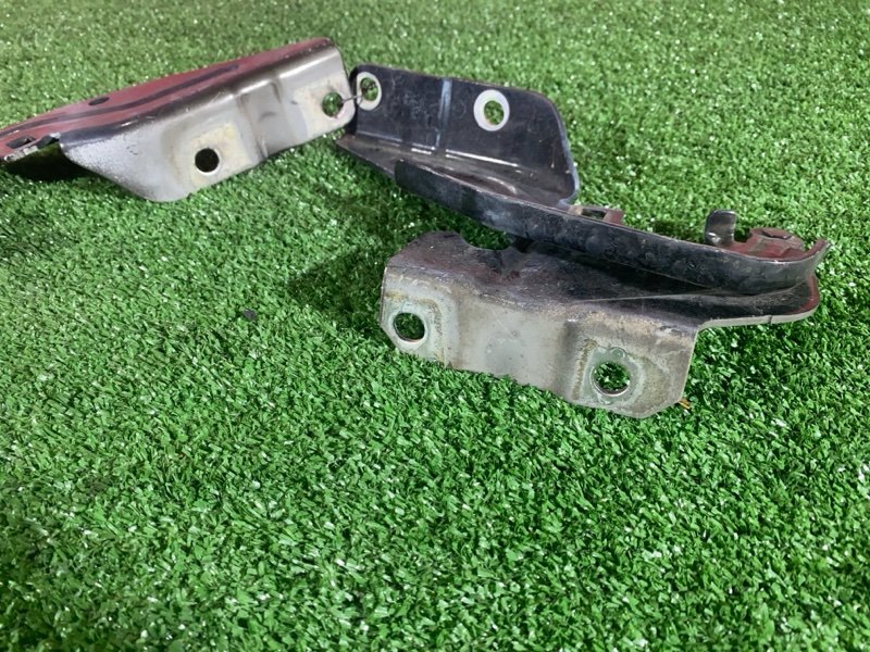 Петля (Шарнир капота), 1000 рублей, Солонцы