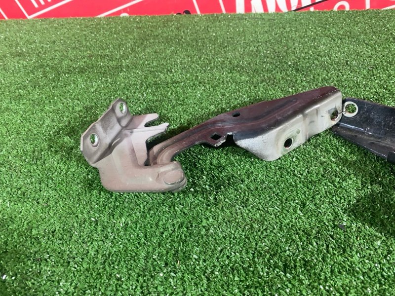 Петля (Шарнир капота), 1000 рублей, Солонцы