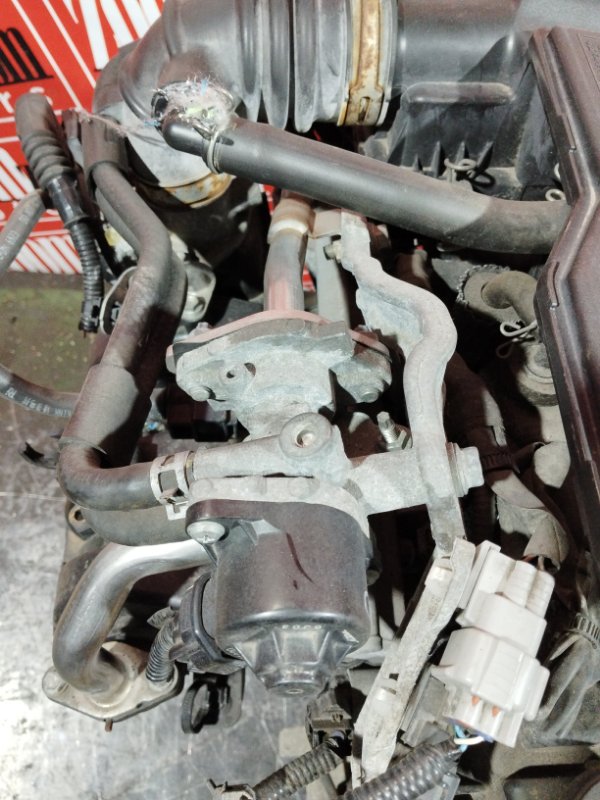 Двигатель, 66500 рублей, Солонцы