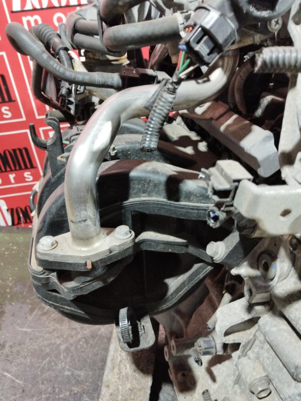 Двигатель, 66500 рублей, Солонцы