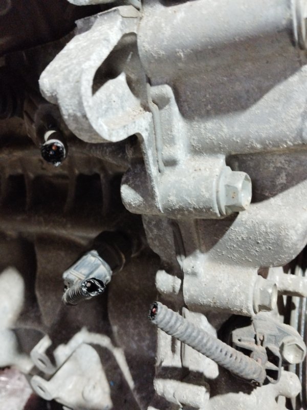 Двигатель, 66500 рублей, Солонцы