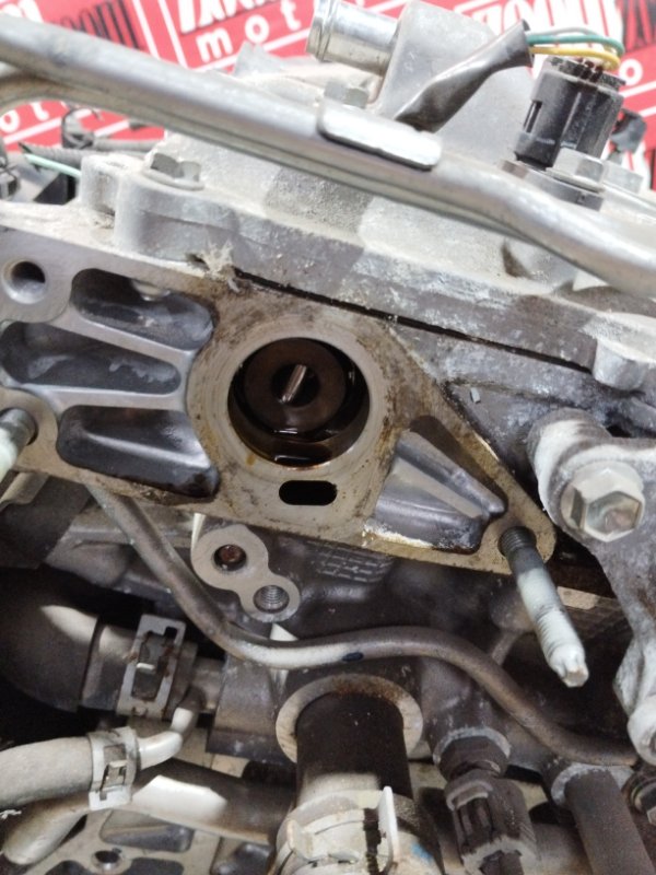 Двигатель, 47500 рублей, Солонцы