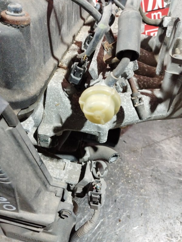 Двигатель, 80800 рублей, Солонцы