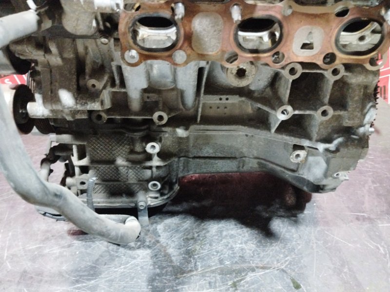 Двигатель, 128300 рублей, Солонцы