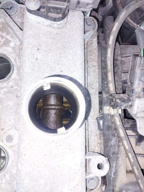 Двигатель, 52300 рублей, Солонцы