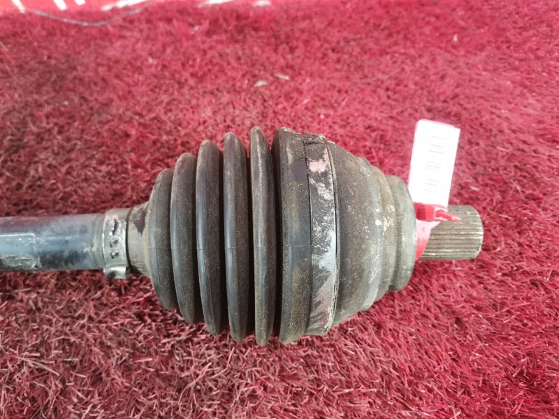 Привод, 3500 рублей, Солонцы