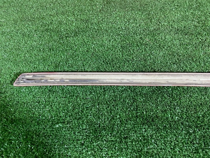 Молдинг, 1000 рублей, Солонцы