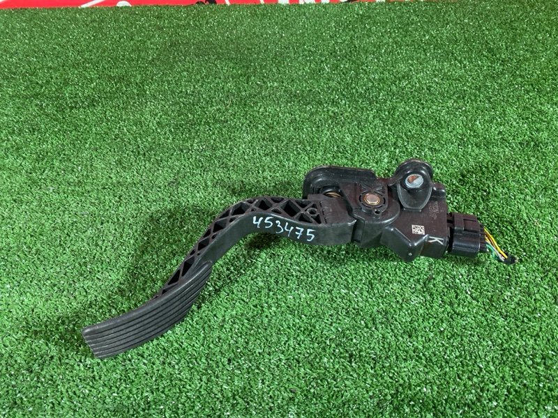 Педаль газа, 1000 рублей, Солонцы