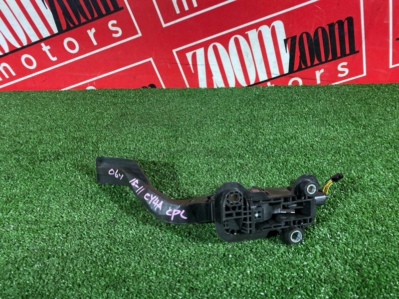 Педаль газа, 1000 рублей, Солонцы