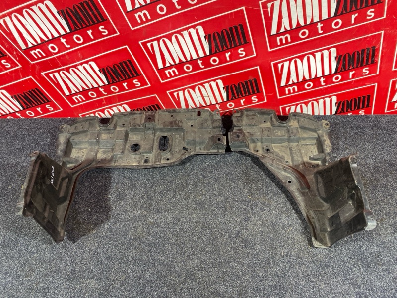 Защита ДВС, 1000 рублей, Солонцы