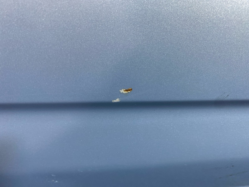 Дверь боковая, 3400 рублей, Солонцы