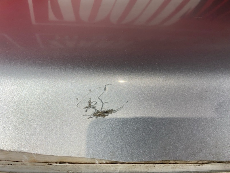 Дверь задняя багажника, 12000 рублей, Солонцы