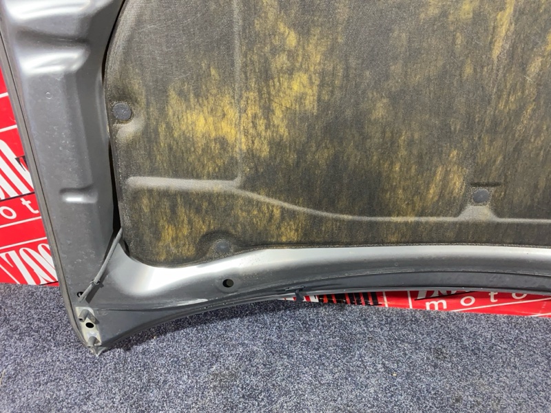 Капот, 52300 рублей, Солонцы