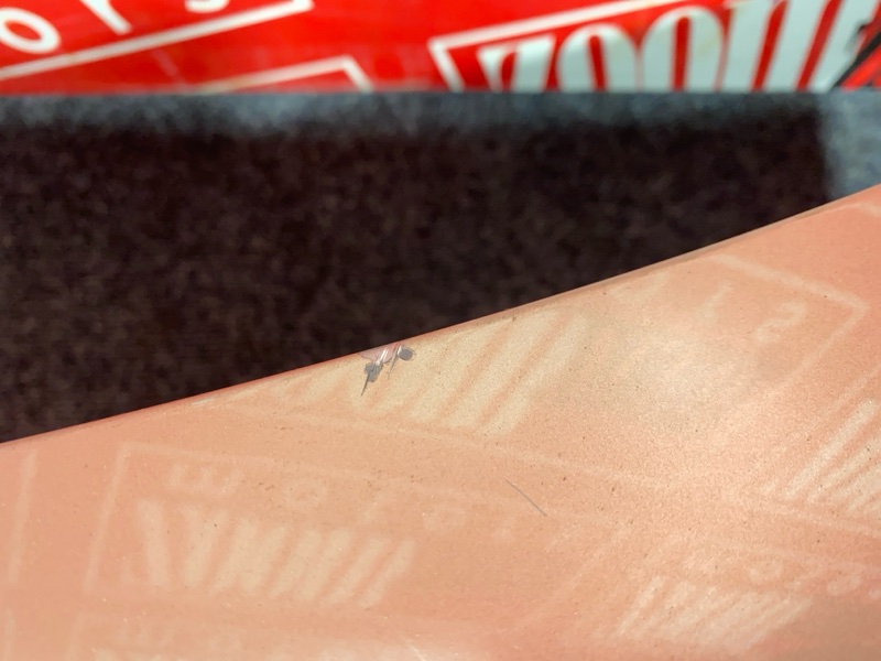 Крышка багажника, 4700 рублей, Солонцы