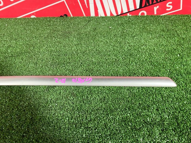 Молдинг, 1000 рублей, Солонцы