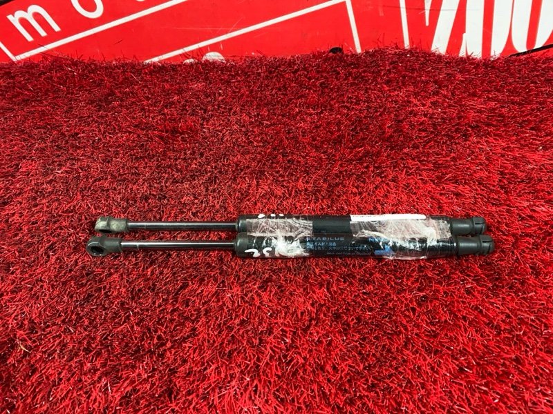 Амортизатор багажника, 1000 рублей, Солонцы