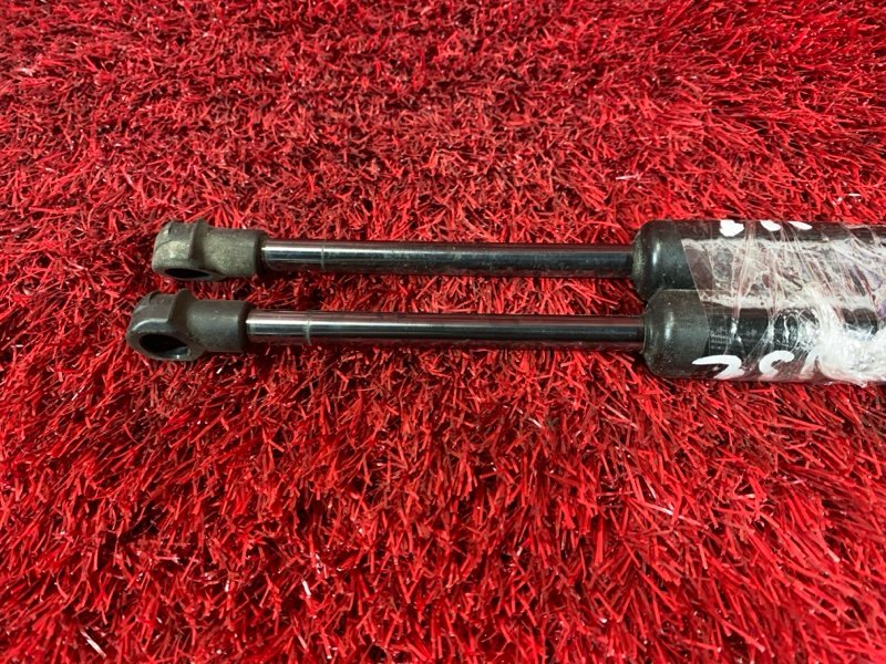 Амортизатор багажника, 1000 рублей, Солонцы