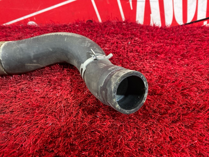 Патрубок радиатора, 500 рублей, Солонцы