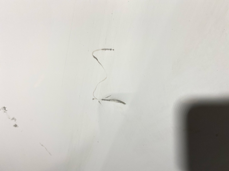 Капот, 17100 рублей, Солонцы