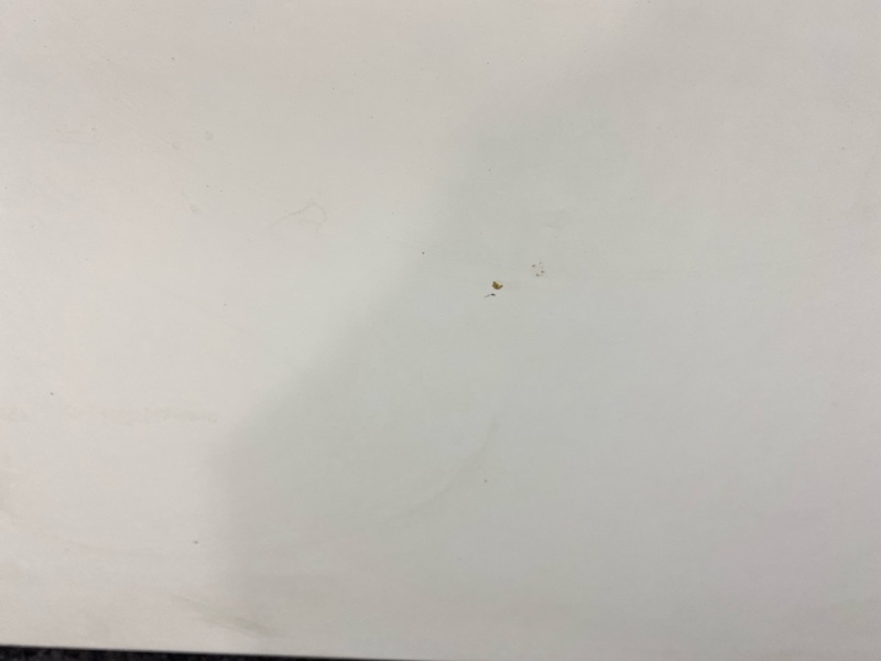 Капот, 17100 рублей, Солонцы