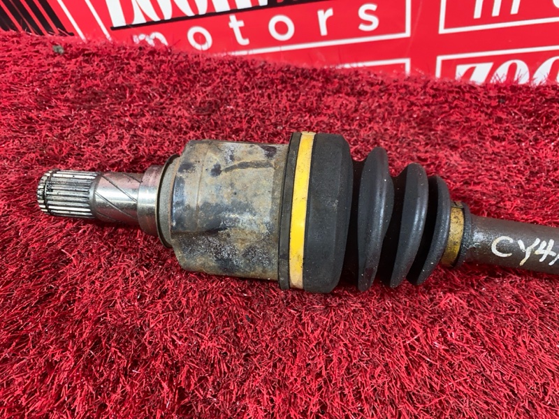 Привод, 2900 рублей, Солонцы