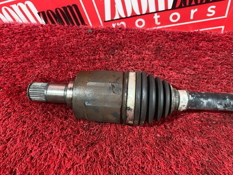 Привод, 1800 рублей, Солонцы