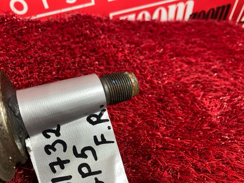 Привод, 1800 рублей, Солонцы