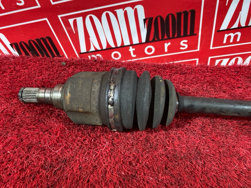 Привод, 2400 рублей, Солонцы