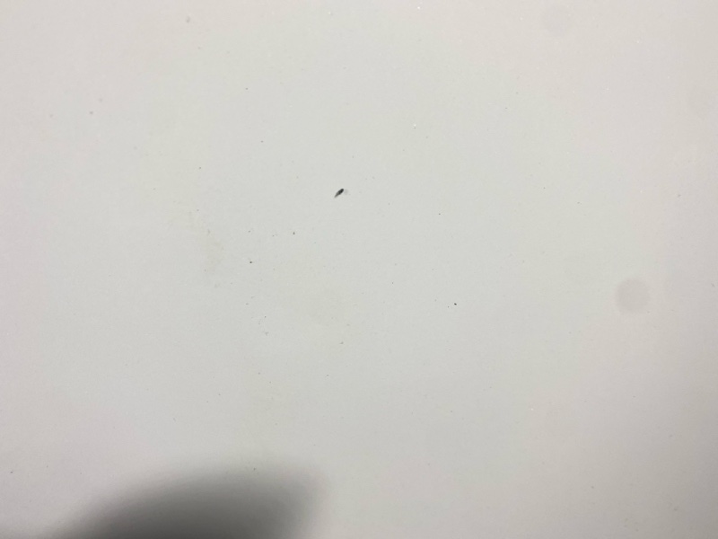 Капот, 40900 рублей, Солонцы