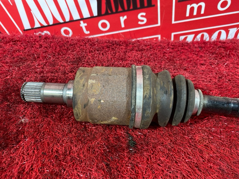 Привод, 1200 рублей, Солонцы